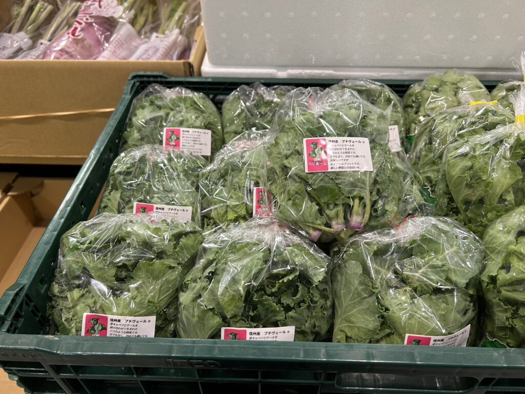 まだ大きいですがプチヴェール入荷始まりました