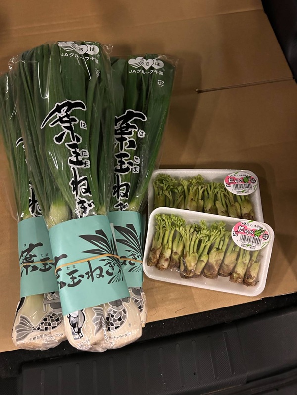 葉玉葱、タラの芽を入荷いたしました