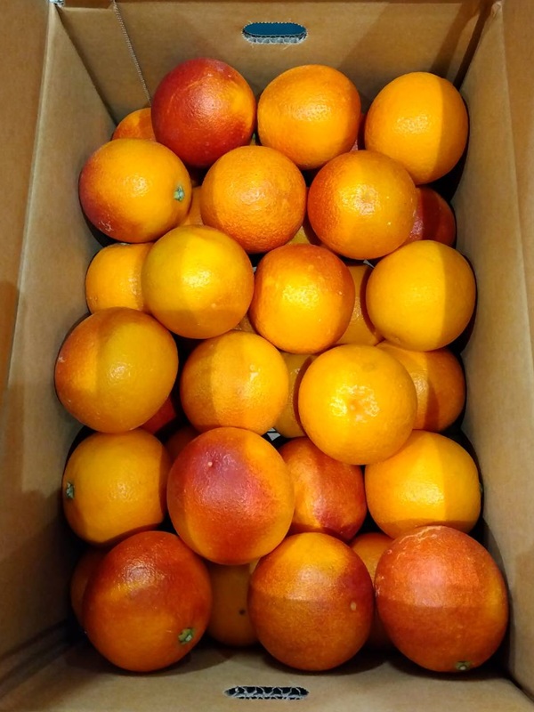 【国産】ブラッドオレンジの入荷が始まりました