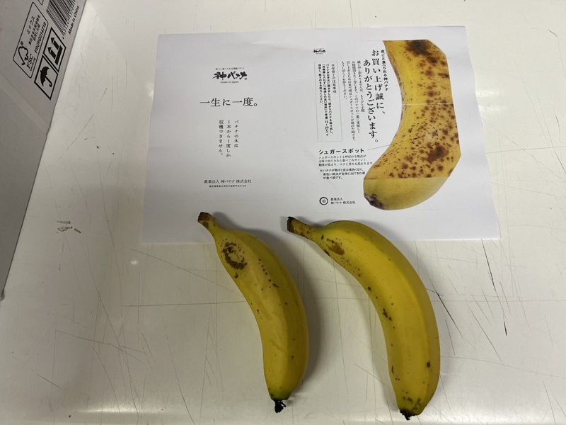 【鹿児島県産直】皮ごと食べられる「ともいきバナナ」